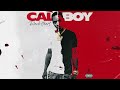 Calboy - Bandit (Official Visualizer)