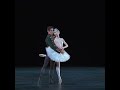 Akane Takada & Frederico Bonelli-Swan Lake PDD (Act 1)