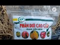 How To Grow Bunching Onions From Seeds To Harvest | Phan Đức #191