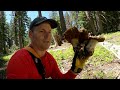 Mushroom Hunting - Spring King Hunting Secrets