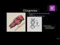 Duchenne Muscular Dystrophy - UNRMed Genetics 2024