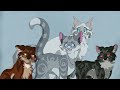 Ranking the NEW Warrior Cats Protagonist Introductions