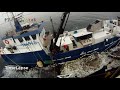 Amazing Big Catch Fishing on the Sea - Catch Hundreds Tons Fish With Modern Big Boat