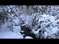 River in Winter, Arnold Arboretum, Boston, Massachusetts, USA