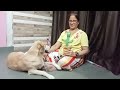Dog comedy video for itertenment @deeptimule1311