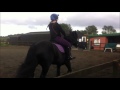 Horse Riding Lesson 05/10/16