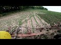 Cultivating Corn