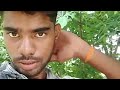 Aji chaula Ani gali ll New sambalpuri vlogs ll laba official vlogs