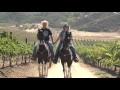 Come Ride With GIG, Gaits In the Grapes,  trail guides in Temecula Wine Country for HORSE OWNERS.