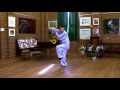 Tai Chi 24 Form (Back View with Instructions)