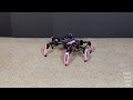 Raw Footage of my Hexapod Robot Walking and Flexing