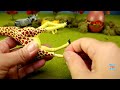 Toy Wild Animals 3D Puzzles Collection Zebra Hippo Giraffe Cheetah │ Zoo Animals Fun Facts For Kids