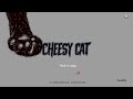 I failed the cheese,,, [Cheesy Cat]