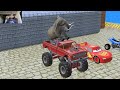 Long Slide Game With Elephant Gorilla Buffalo Hippopotamus Tiger - 3d Animal Game - Funny 3d Animals