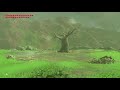 5 BIZARRE Locations in Zelda Breath of the Wild! (ft. Zeltik)
