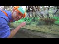 BLIPPI! - Blippi Visits an Aquarium (The Florida Aquarium) | Educational Videos | Learn | ABC 123