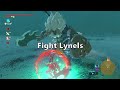 Do THESE Things Before Beating BOTW!