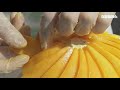 [4K] 호텔케이크 ASMR l 애플망고 케이크 만들기 l 호텔 케이크 만들기 | 조선델리 l 케이크 교환권 구독자 이벤트l How to make a hotel mango cake