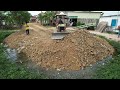 Nicely Lanfill in Flooded Pond!! Bulldozer D20A & Truck 5T Pushing Stone Into water