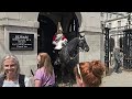POLICE BAN YOUTUBER FROM HORSE GUARDS WITH IMMEDIATE EFFECT - respect The King's Guard or leave!