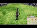 Animal Shelter simulator PS4 Lets Play 2