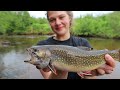 Michigan BROOK TROUT Fishing