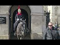 NOTORIOUS NIPPER ORMONDE is back! Tourists are shocked and surprised at Horse Guards!