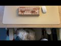 Changing my workspace | a cozy makeover, my new camera and unboxing new things