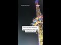 Girl, 9, realizes her safety buckle isn't latched on fair ride #shorts