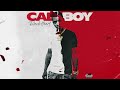 Calboy - If You Know You Know (Official Visualizer)