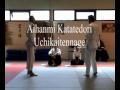 Aikido-examen Dolf 5e Kyu