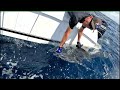 Live Baiting Black Marlin Port Stephens