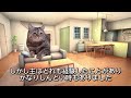 猫ミームで分かる冬の水分補給の大切さ #猫マニ  #猫マニア #猫ミーム