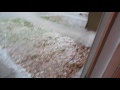 February  hail in Pennsylvania