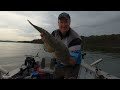 Awesome Flathead fishing Lake Macquarie NSW Australia