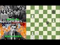 Bobby Fischer Thí Hậu, Bẻ Gãy Đũa Thần Của Mikhail Tal - Ván 32 My 60 Memorable Games || TungJohn