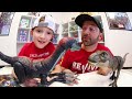 Father & Son TOY BOX MEGA SURPRISE! / Jurassic World 3