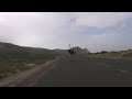 Cyclists chased by an ostrich. The funniest thing you'll see today