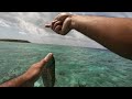 Reef fishing - Handline