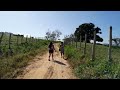 caminhando 🚶‍♂️prá fazenda 🚜 🚜