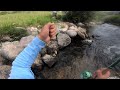 Flyfishing small streams in Wyoming! (Short solo fishing trip)