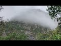 Hiking equatorial jungle at 9000’ elevation