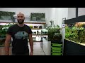 Planted Aquarium Studio - MD Fish Tanks (FULL TOUR)