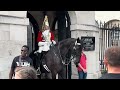 7ft Guard! Lady Surprised and Tourist turns Animal Commentator at Horse Guards