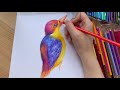 Brutfuner Oil Pencils 120 Colour Set (Unboxing + Swatches + Bird Drawing)