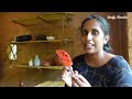 കാട്ടുപഴം കൊണ്ട് ജാം/how to prepare jam at home/mulberry and goldenberry jam no preservatives&colour