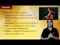 [Art & Culture] Performing Arts | Indian Classical Dance Forms: Bharatanatyam | UPSC | Arti Chhawari