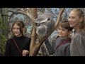Our Kids Cared For Exotic Animals At This Australian Wildlife Center