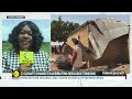 Nigerian gunmen kill at least 50 in raid on a northwest village | Newspoint | WION