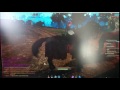 black desert white screen flashes